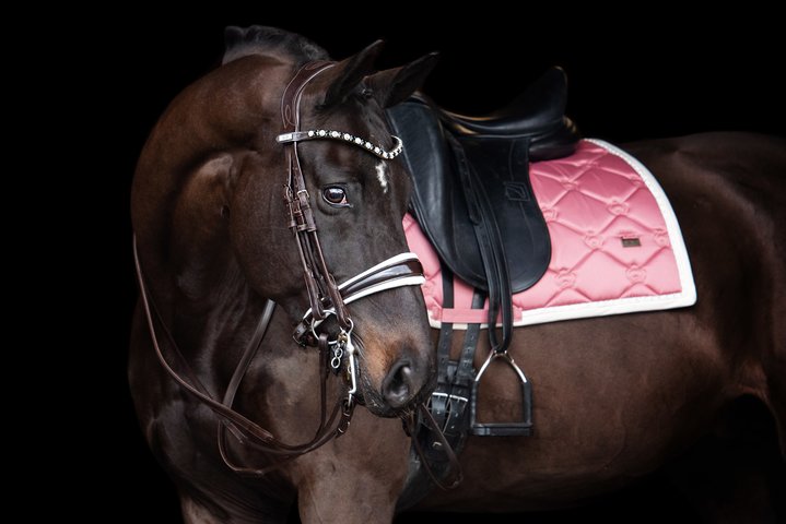 PS of Sweden GP Patent Double Bridle